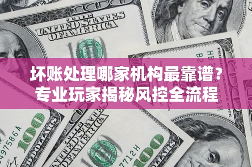 武汉坏账处理哪家机构最靠谱？专业玩家揭秘风控全流程