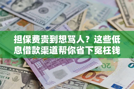 武汉担保费贵到想骂人？这些低息借款渠道帮你省下冤枉钱