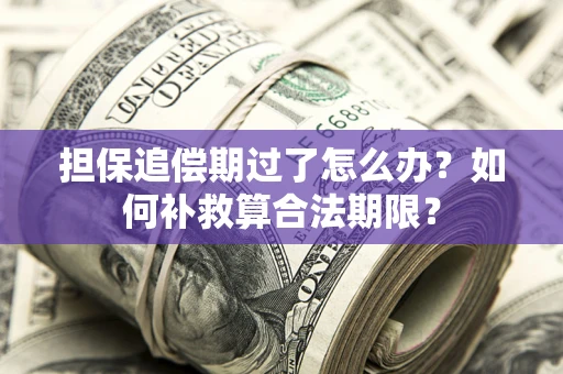 武汉担保追偿期过了怎么办？如何补救算合法期限？
