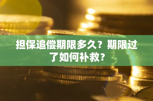 武汉担保追偿期限多久？期限过了如何补救？