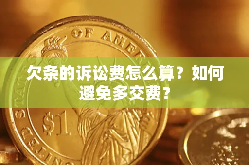 武汉欠条的诉讼费怎么算？如何避免多交费？