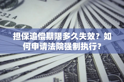 武汉担保追偿期限多久失效？如何申请法院强制执行？
