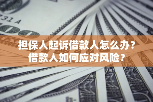 武汉担保人起诉借款人怎么办？借款人如何应对风险？