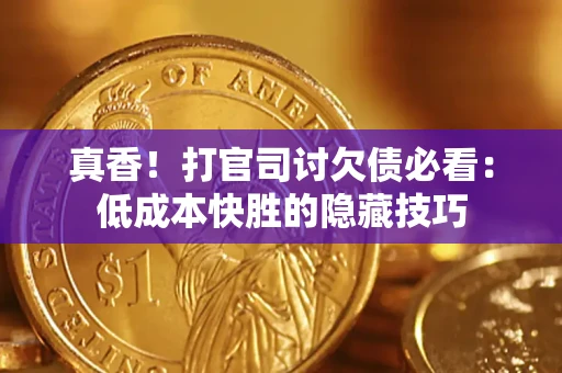 武汉真香！打官司讨欠债必看：低成本快胜的隐藏技巧