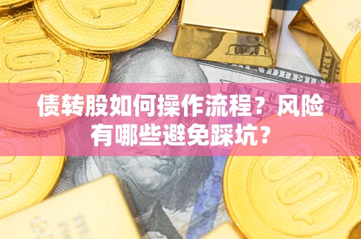 武汉债转股如何操作流程?风险有哪些避免踩坑? 武汉债转股如何操作流程?风险有哪些避免踩坑?